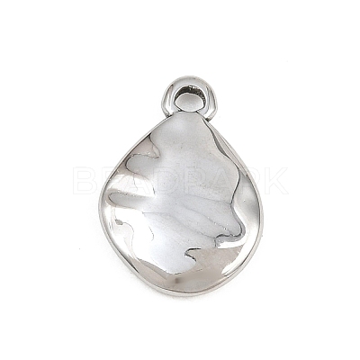 304 Stainless Steel Pendants SA-CBA31B1-05P-1