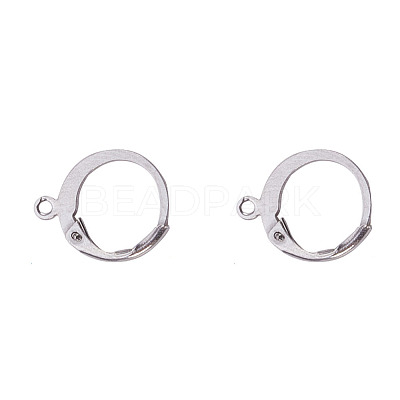 Tarnish Resistant 316L Surgical Stainless Steel Leverback Earring Findings STAS-F075-38P-1