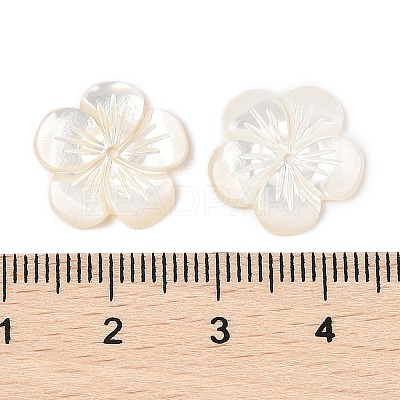 Natural White Shell Carved Beads SSHEL-I026-12F-07-1