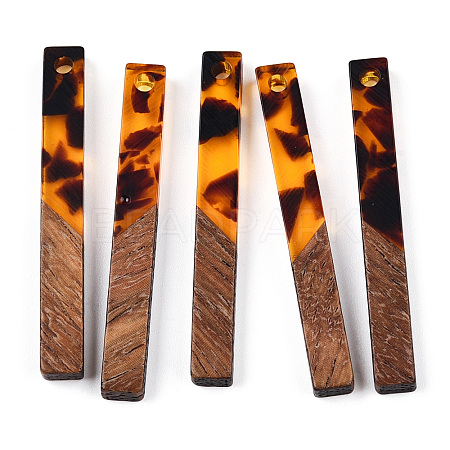 Transparent Resin & Walnut Wood Pendants RESI-N039-24D-1