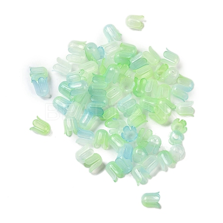 Transparent Acrylic Beads Caps OACR-B022-01D-1