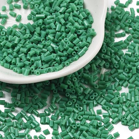 Two Cut Glass Seed Beads CSDB47-1