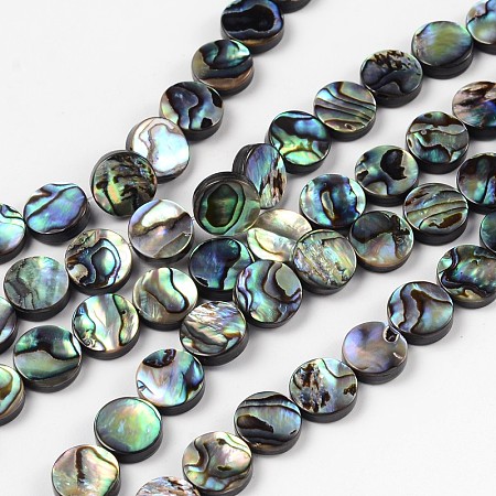 Natural Abalone Shell/Paua Shell Beads Strands SSHEL-G003-5-10x3mm-1