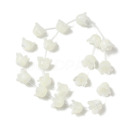 Natural Trochid Shell/Trochus Shell Bead Caps BSHE-B005-03-1
