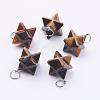 Natural Tiger Eye Pendants G-E398-01C-2