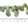 Natural Chrysoprase Beads Strands G-F645-16-01-2