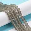 Transparent Glass Beads Strands LS-EGLA-A034-T3mm-MD16-2