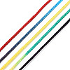 Segment Dyed Nylon Braided Cord NWIR-N016-01B-4