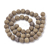 Natural Elephant Skin Jasper/Miriam Stone/Calligraphy Stone Beads Strands G-T106-123-3