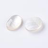 Shell Cabochons G-L470-15-2