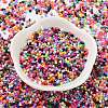 Baking Paint Glass Seed Beads SEED-S042-05B-48-2