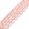 Natural Freshwater Shell Beads Strands SHEL-C010-01F-1