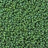 MIYUKI Round Rocailles Beads SEED-X0054-RR0480-3