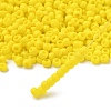 TOHO 6/0 Round Beads SEED-TR06-0042F-2