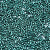 FGB 11/0 Grade A Glass Seed Beads SEED-S030-1216-2
