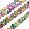 Natural Malaysia Jade Beads Strands G-L645-C01-10mm-10-2
