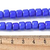 Handmade Lampwork Beads Strands LAMP-I030-02B-4