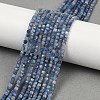 Natural Kyanite Beads Strands G-B088-E24-03A-1