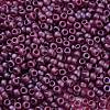 TOHO Round Beads X-SEED-TR11-0332F-1