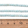 Dyed Natural Freshwater Shell Beads Strands SH-CBA2978-07A-01-4