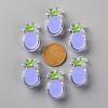 Transparent Enamel Acrylic Beads TACR-S155-002J-3