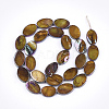 Freshwater Shell Beads Strands SSHEL-T007-19A-2