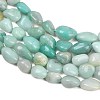Natural Amazonite Nuggets Beads Strands G-J335-31A-4