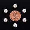 Natural Keshi Pearl Beads PEAR-N020-F02-4