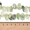 Natural Prehnite Beads Strands G-P604-A02-01-3