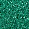 MIYUKI Round Rocailles Beads SEED-G009-RR0572-3