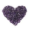 Natural Amethyst Beads G-F710-13-2
