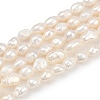 Natural Cultured Freshwater Pearl Beads Strands PEAR-P064-20G-03A-2
