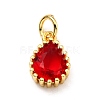 Brass Micro Pave Cubic Zirconia Pendants ZIRC-D120-01G-02-2