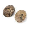 Natural Picture Jasper Cabochons G-Q186-01B-2