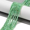Natural Chrysoprase Beads Strands G-B088-C19-02-2