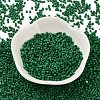 Baking Paint Glass Seed Beads SEED-S042-05B-66-2