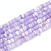 Natural Trochid Shell/Trochus Shell Beads Strands SSHEL-N040-21D-1