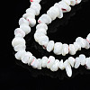 Natural Freshwater Shell Beads Strands SHEL-N003-23-5