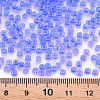 8/0 Transparent Glass Seed Beads SEED-S048-P-002-4