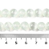 Natural Selenite Beads Strands G-C142-01B-06-5