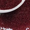 MIYUKI Round Rocailles Beads X-SEED-G009-RR2410-1