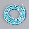 Natural Trochid Shell/Trochus Shell Beads Strands SSHEL-N040-21B-2