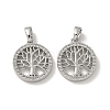 Brass Micro Pave Cubic Zirconia Pendents KK-R210-21P-01-1