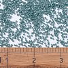 MIYUKI Delica Beads SEED-J020-DB2131-4