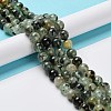 Natural Prehnite Beads Strands G-G457-10mm-03-5