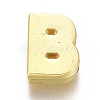 Alloy Slide Charms PALLOY-WH0069-02B-G-1