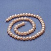 Natural Cultured Freshwater Pearl Beads Strands PEAR-P060-07-01-2