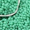 Opaque Acrylic Beads SACR-A007-01C-23-1