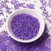12/0 Transparent Glass Seed Beads SEED-F003-03C-09-2