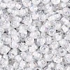 FGB Inside Colours Transparent Glass Seed Beads SEED-T009-01L-2